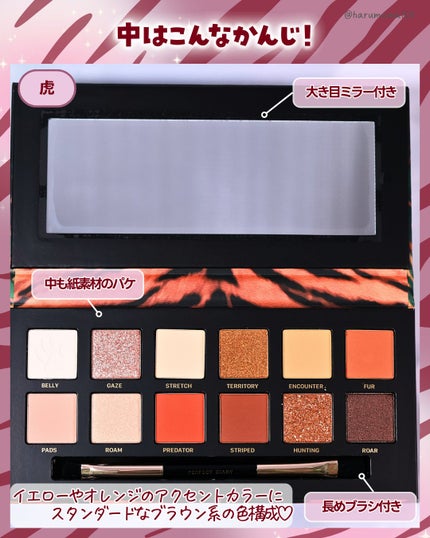 エクスプローラ12色 動物アイシャドウパレット/PERFECT DIARY/アイシャドウパレットを使ったクチコミ(3枚目)