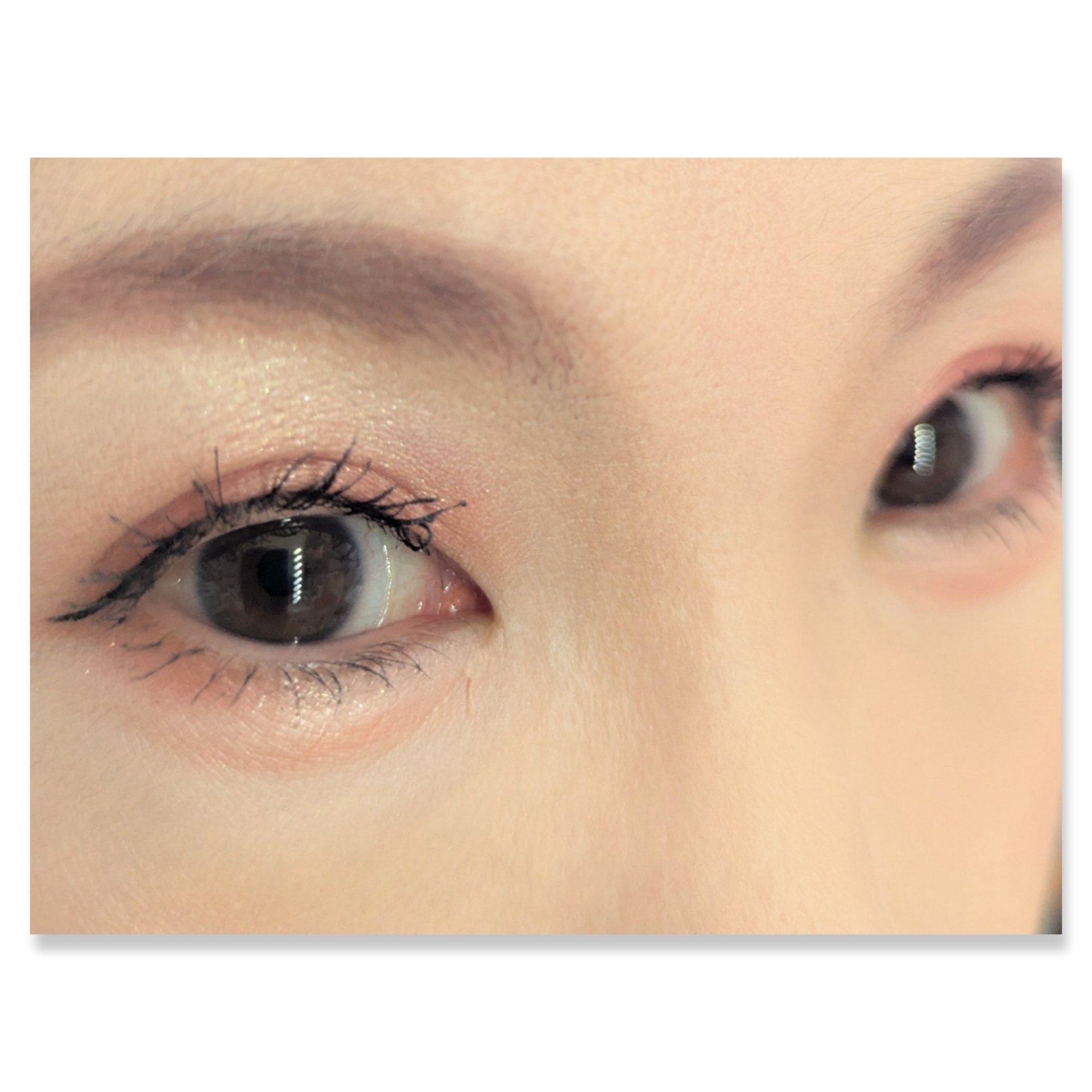 アイカラーパレット/heme/アイシャドウパレットを使ったクチコミ（2枚目）