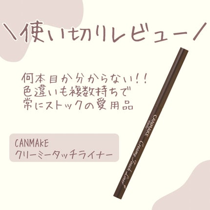 クリーミータッチライナー/キャンメイク/ジェルアイライナーを使ったクチコミ(1枚目)