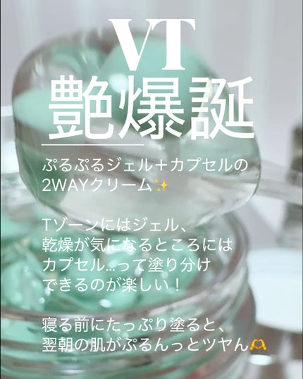 PDRN+ デイリーマスク/VT/シートマスク・パックを使ったクチコミ(3枚目)