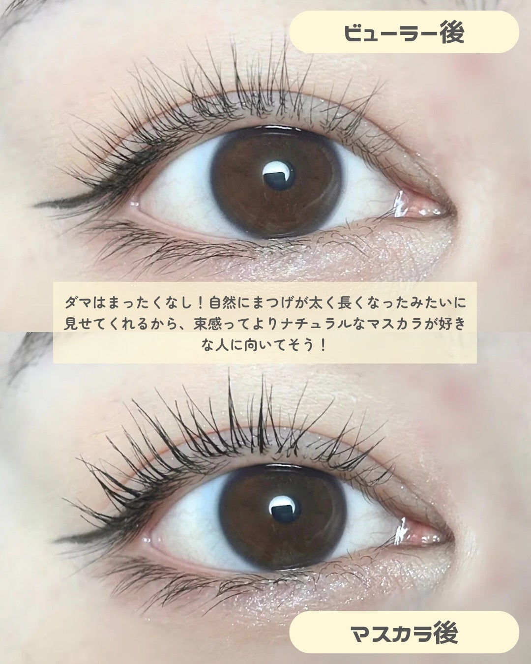 うそつき美束マスカラ 透け感ブラック/pdc/マスカラを使ったクチコミ(4枚目)