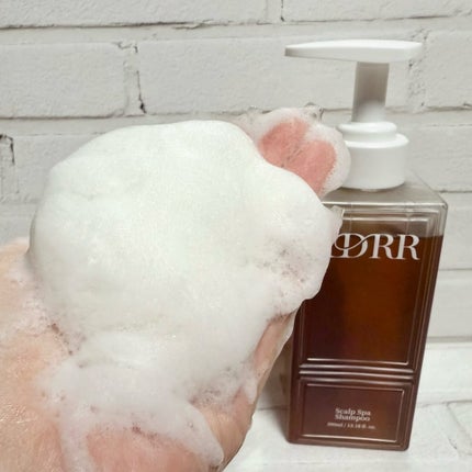 ããã¿ðãã©ãã100 on LIPS ãæ¯é±æ°ãããã©ã³ãã«åºäŒããMEGADEBUTâš8/19(ç«)..ãïŒ4æç®ïŒ