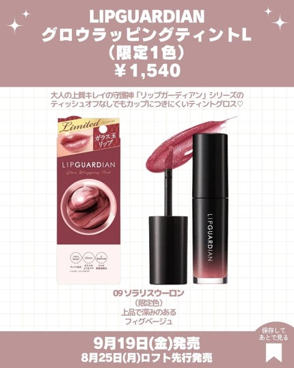 クッションチップアイカラーN/キスミー フェルム/単色アイシャドウを使ったクチコミ(4枚目)