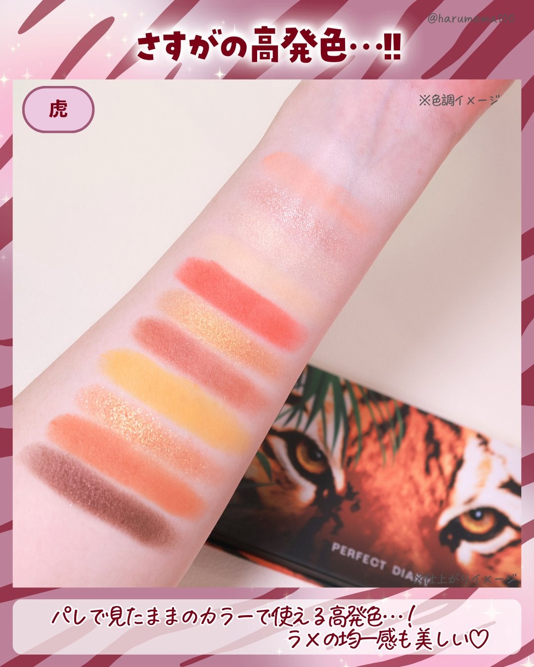 エクスプローラ12色 動物アイシャドウパレット/PERFECT DIARY/アイシャドウパレットを使ったクチコミ(4枚目)