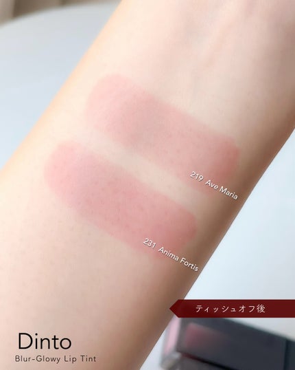 ブラーグロイリップティント/Dinto/リップティントを使ったクチコミ(6枚目)