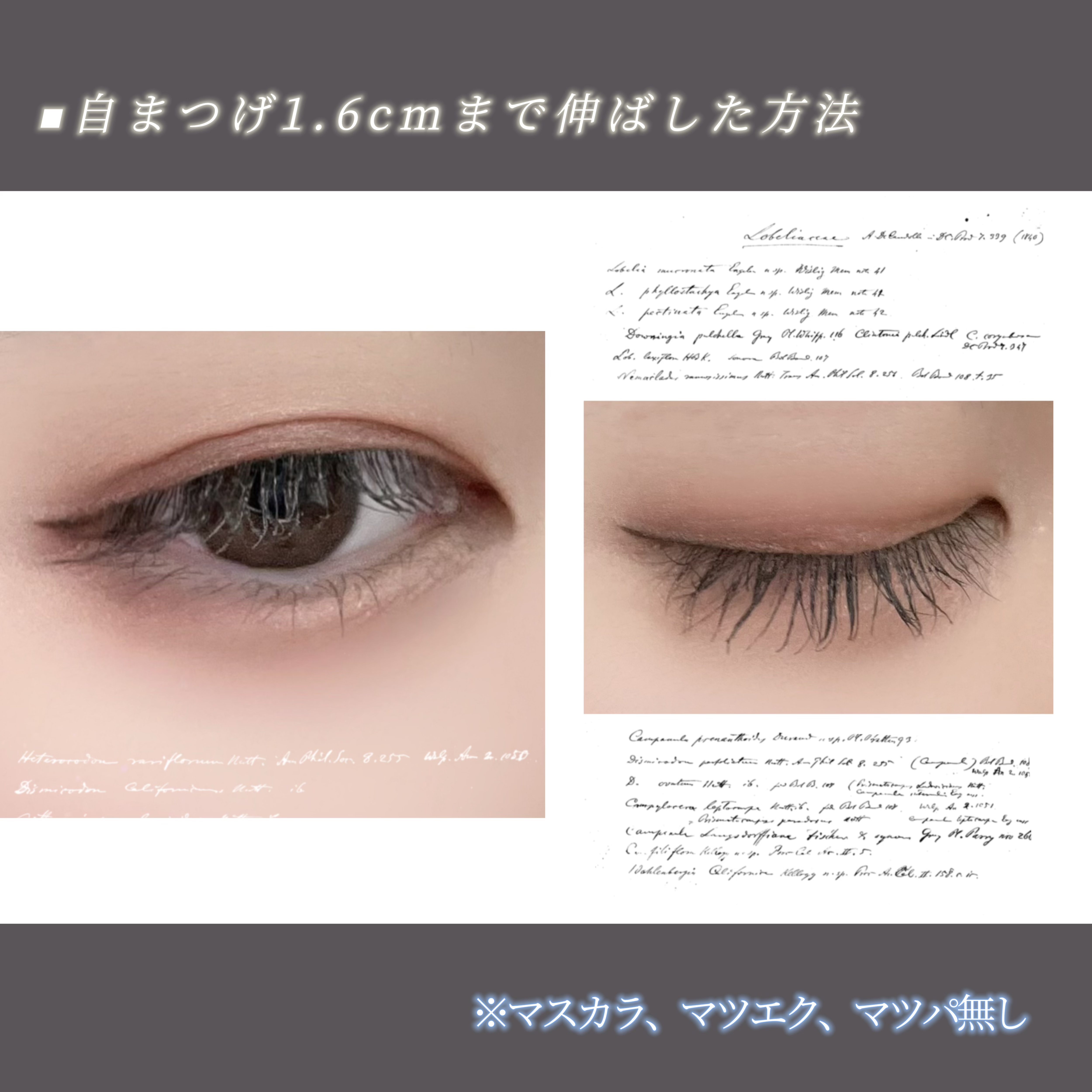 CLARINS グラン アイ セラム Vのクチコミ「マツエク・マツパ・無し
つけま・マスカラ不要の自まつげケア

先日測ったら自まつげが1.6cm.....」（1枚目）