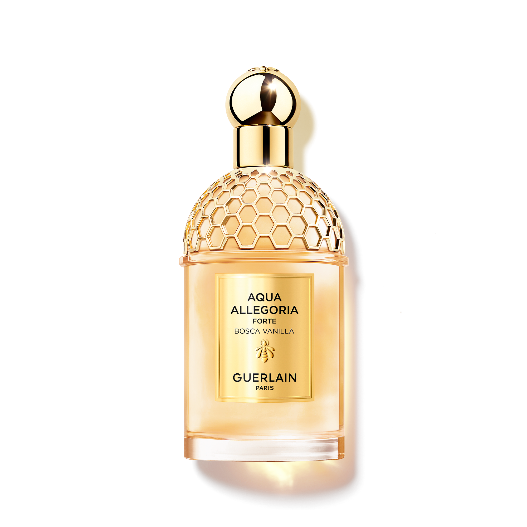 アクア アレゴリア ボスカ ヴァニラ フォルテ