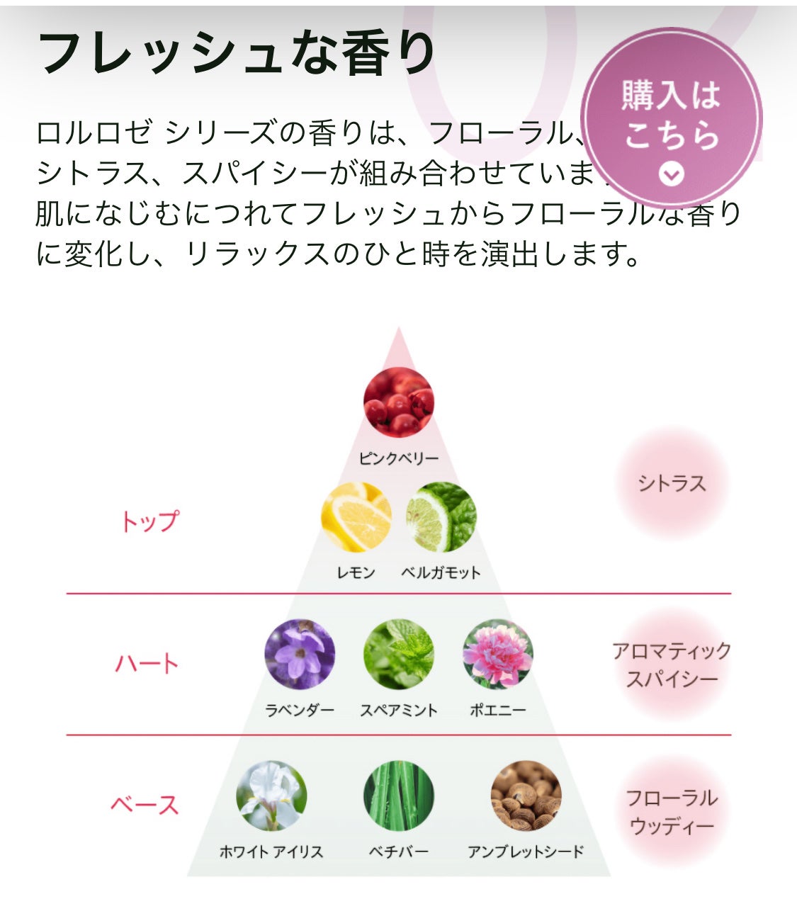 ロルロゼ ピンクフィット ボディオイル/Melvita/ボディオイルを使ったクチコミ(2枚目)