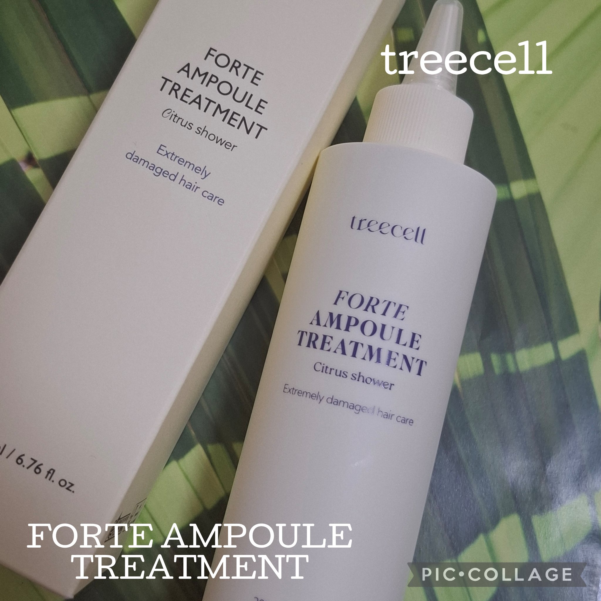 フォルテ アンプル トリートメント/treecell/洗い流すヘアトリートメントを使ったクチコミ（1枚目）