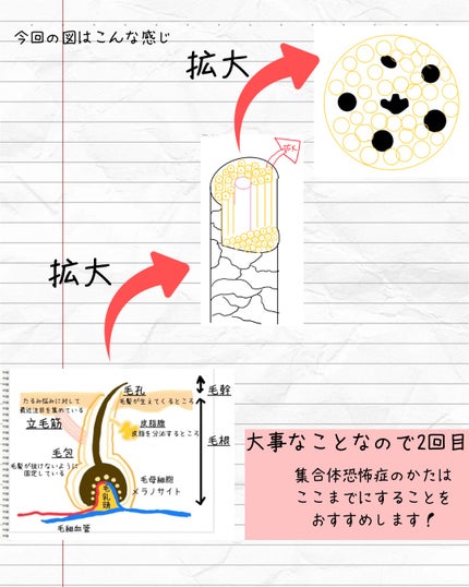 を使ったクチコミ(3枚目)