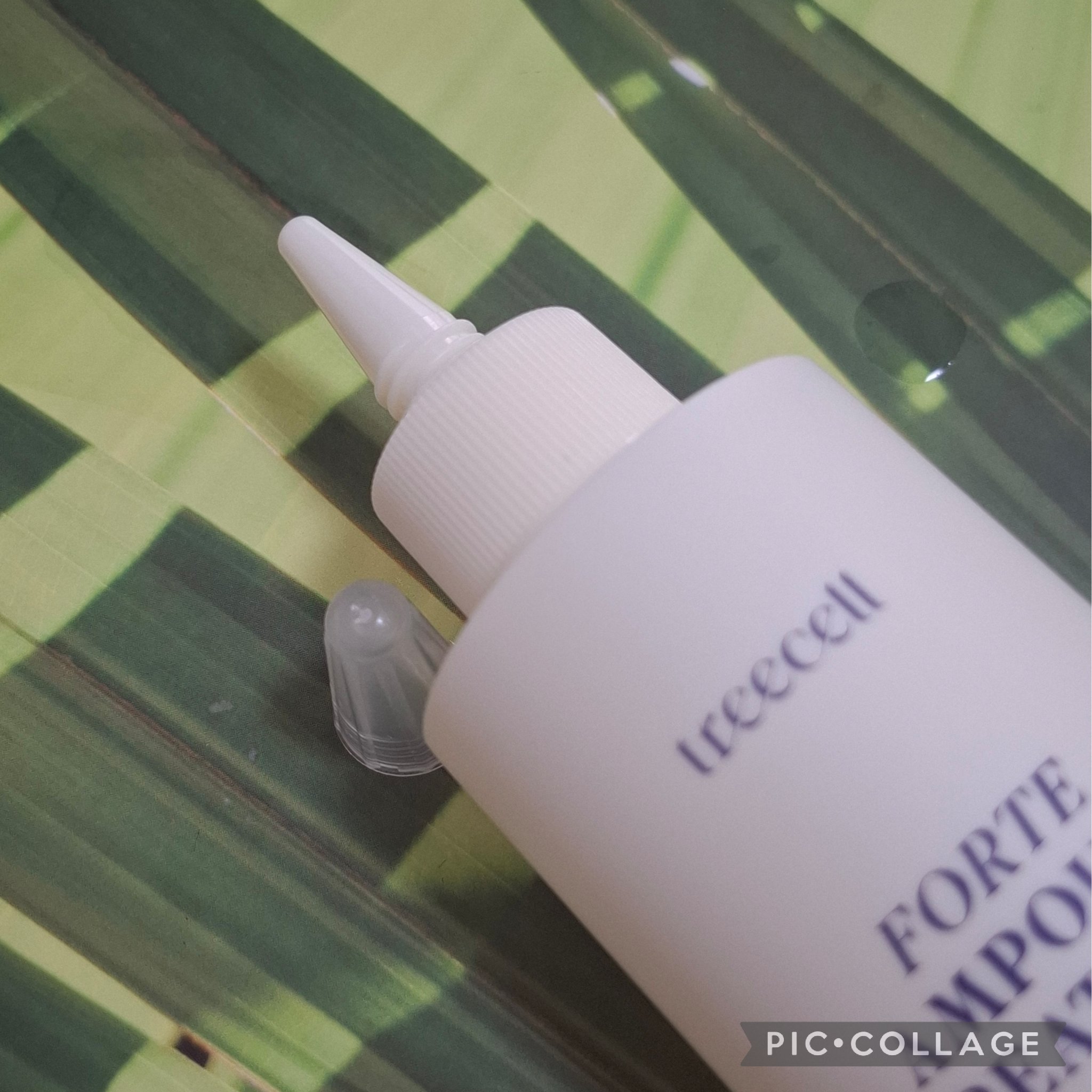 フォルテ アンプル トリートメント/treecell/洗い流すヘアトリートメントを使ったクチコミ（2枚目）