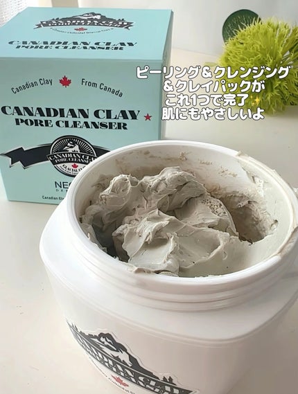 カナディアンクレイ ポア クレンザー/NEOGEN/洗い流すパック・マスクを使ったクチコミ(6枚目)