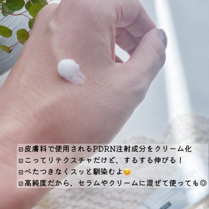 PDRN 1000 Plus Cream/Rejuveon/フェイスクリームを使ったクチコミ(2枚目)