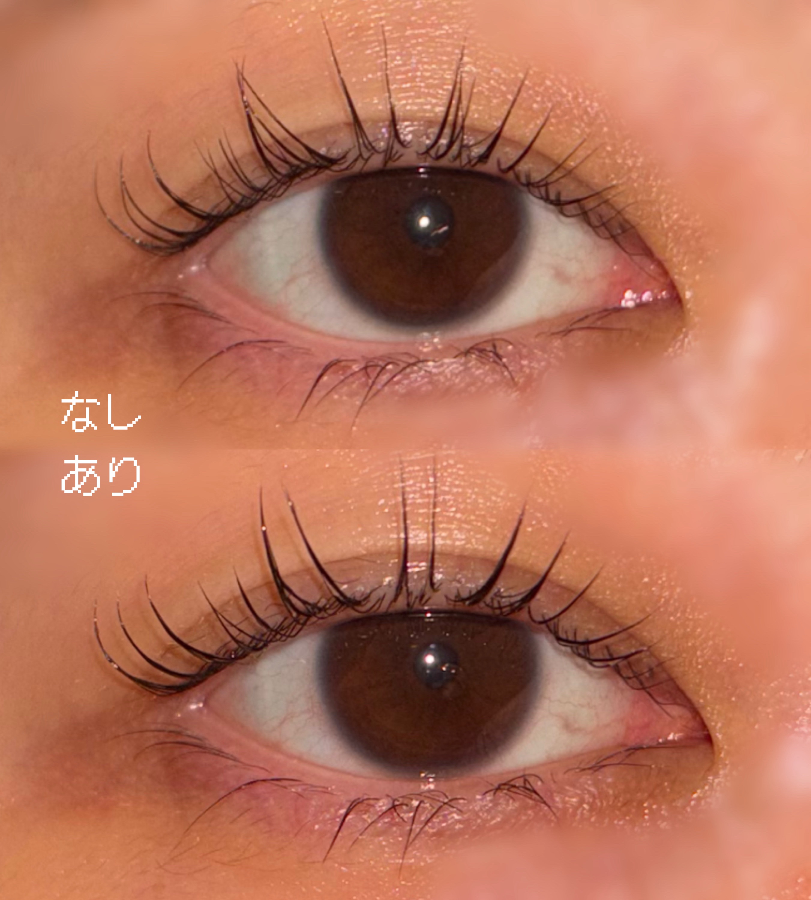 束感まつげキープコート/SHOBIDO/マスカラトップコートを使ったクチコミ（2枚目）