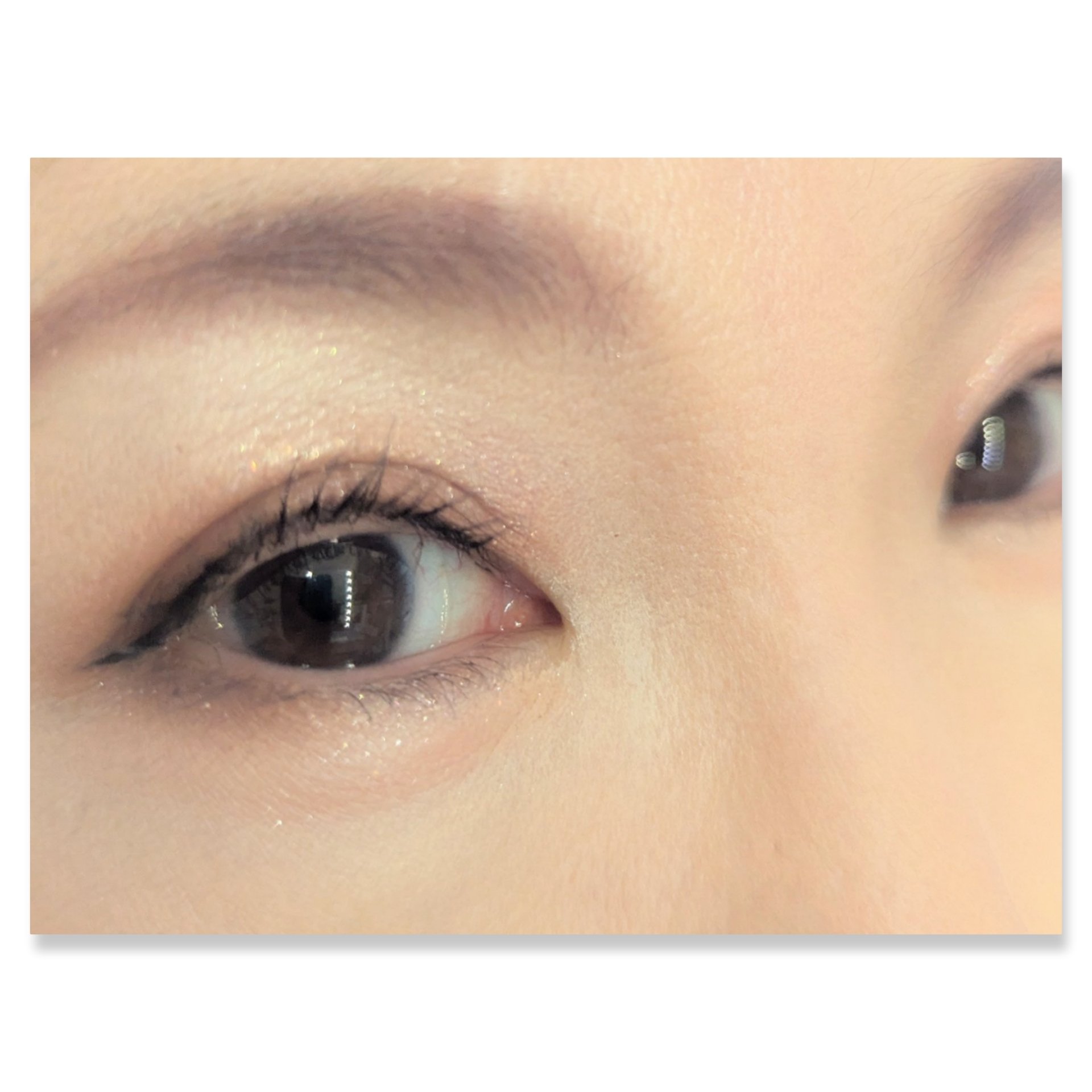 ザジー ジグソーアイシャドウパレット/SHEGLAM/アイシャドウパレットを使ったクチコミ（2枚目）