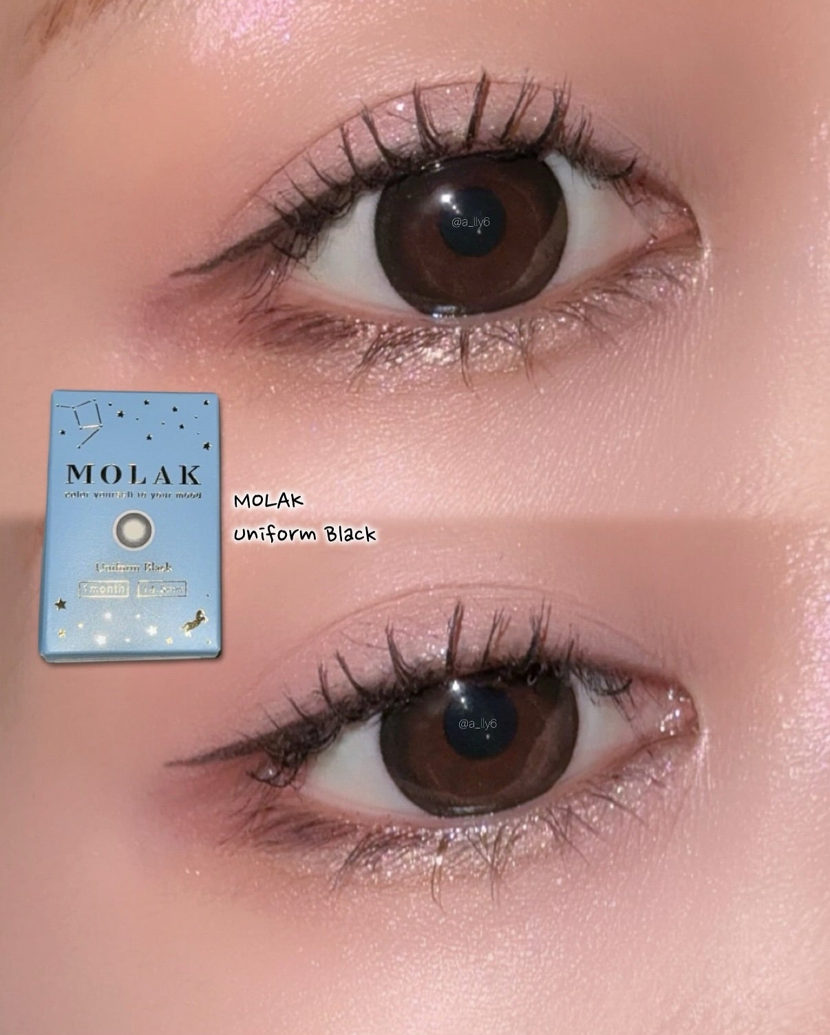 MOLAK 1day/MOLAK/ワンデー(1DAY)カラコンを使ったクチコミ(3枚目)