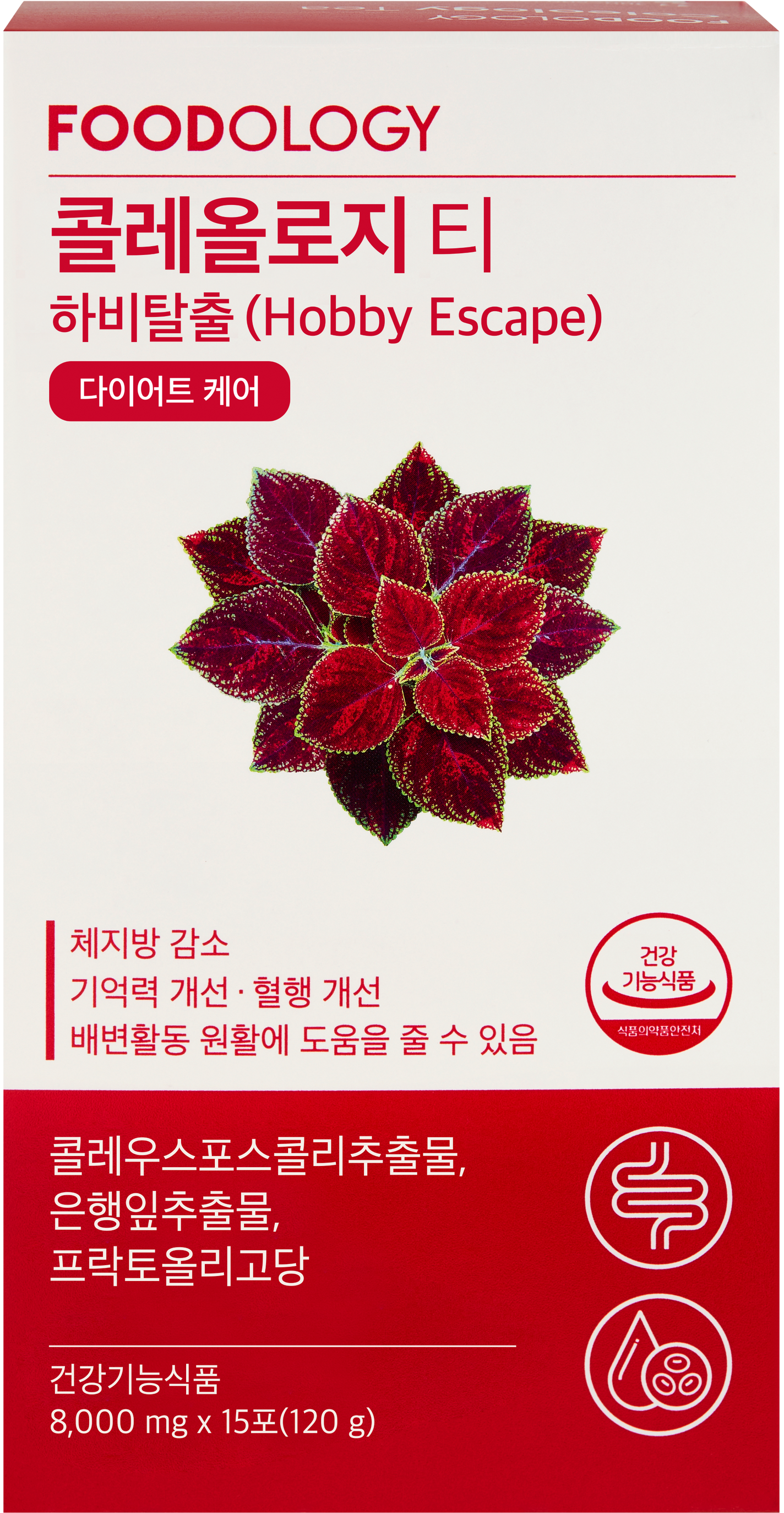 コレオロジーティーPRO FOODOLOGY