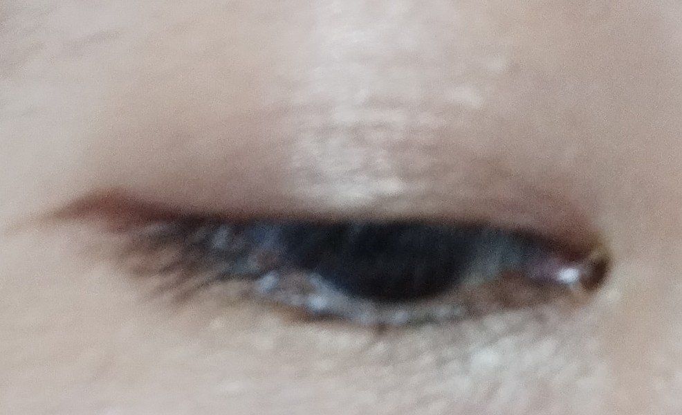 スキニーリッチシャドウ SR02 リアルブラウン/excel/アイシャドウパレットを使ったクチコミ（1枚目）