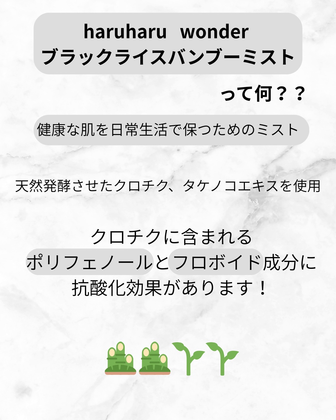 ブラックバンブーミスト/haruharu wonder/ミスト状化粧水を使ったクチコミ（2枚目）