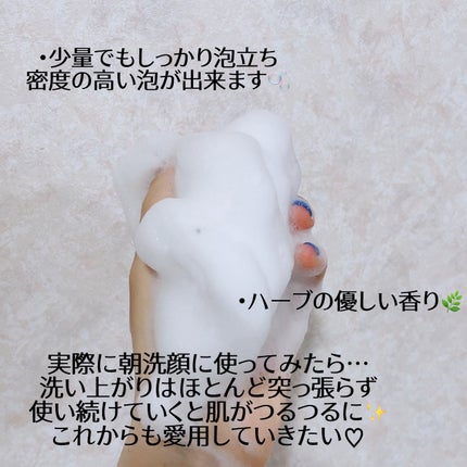 フィトリリーフシカジェルクレンザー/THANK YOU FARMER/その他洗顔料を使ったクチコミ(3枚目)