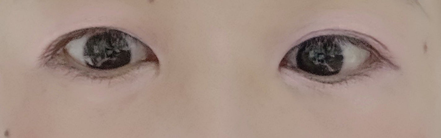 ディオールショウ サンク クルール/Dior/アイシャドウを使ったクチコミ(3枚目)