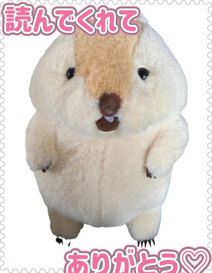 バニラコ オールデイハイドロ UVセラムベース/BANILA CO/日焼け止めローションを使ったクチコミ(5枚目)