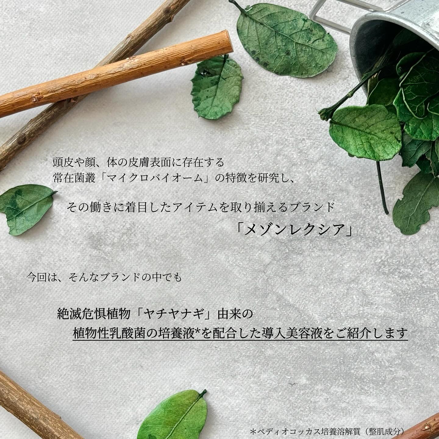 マイバイオーム ラクト ブースター/MAISON LEXIA/美容液を使ったクチコミ（2枚目）