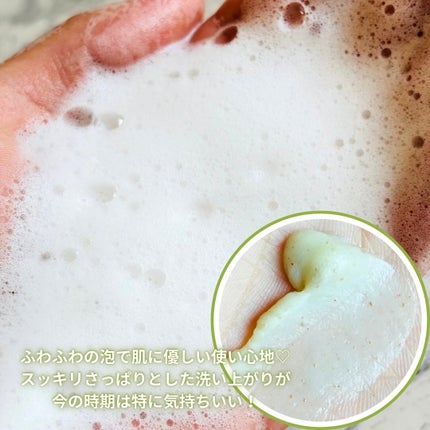 緑豆弱酸性洗顔フォーム/beplain/洗顔フォームを使ったクチコミ(2枚目)