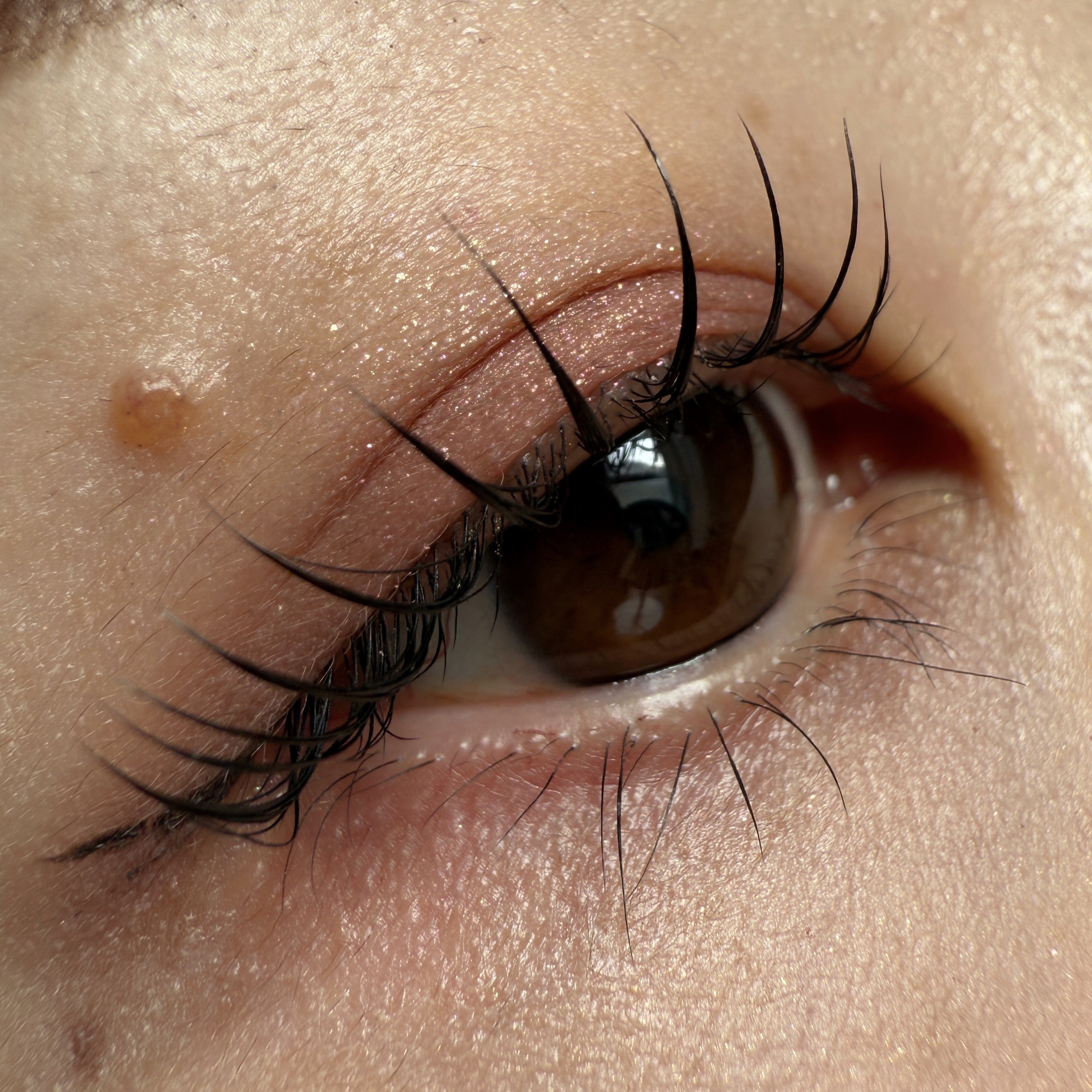 プロ アイ パレット エアー/CLIO/アイシャドウパレットを使ったクチコミ（1枚目）