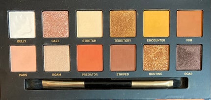 エクスプローラ12色 動物アイシャドウパレット 虎/PERFECT DIARY/アイシャドウパレットの画像