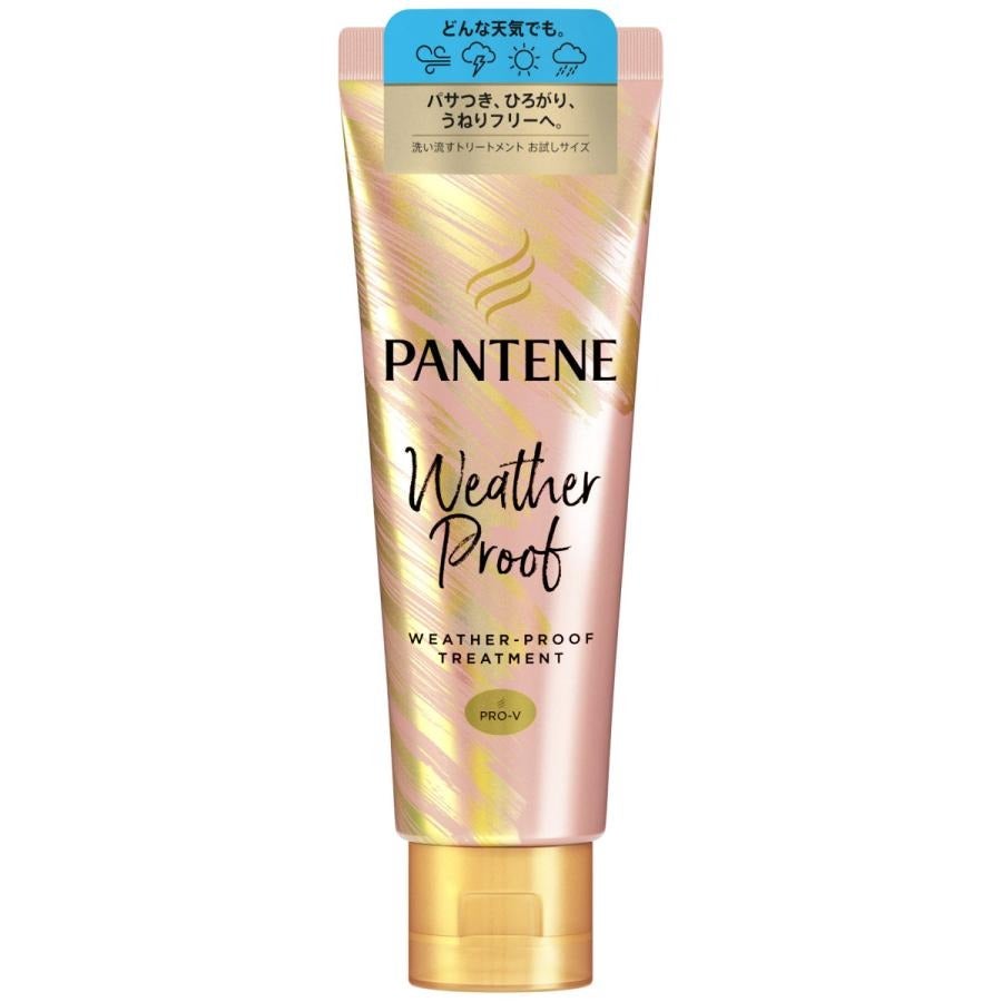 ウェザープルーフ トリートメント 70g