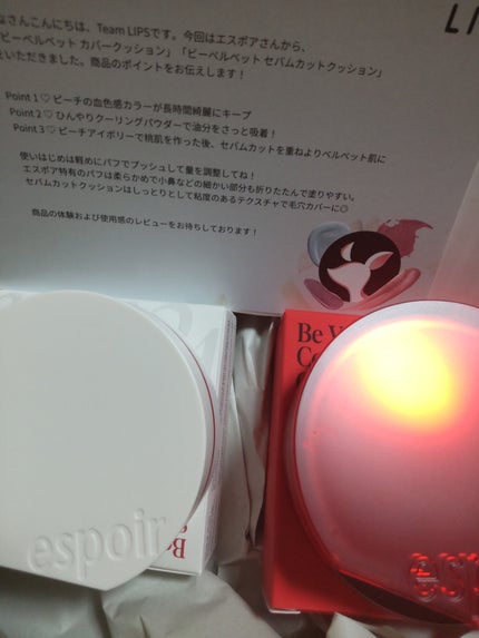 ビーベルベットカバークッション/espoir/クッションファンデーションを使ったクチコミ(1枚目)