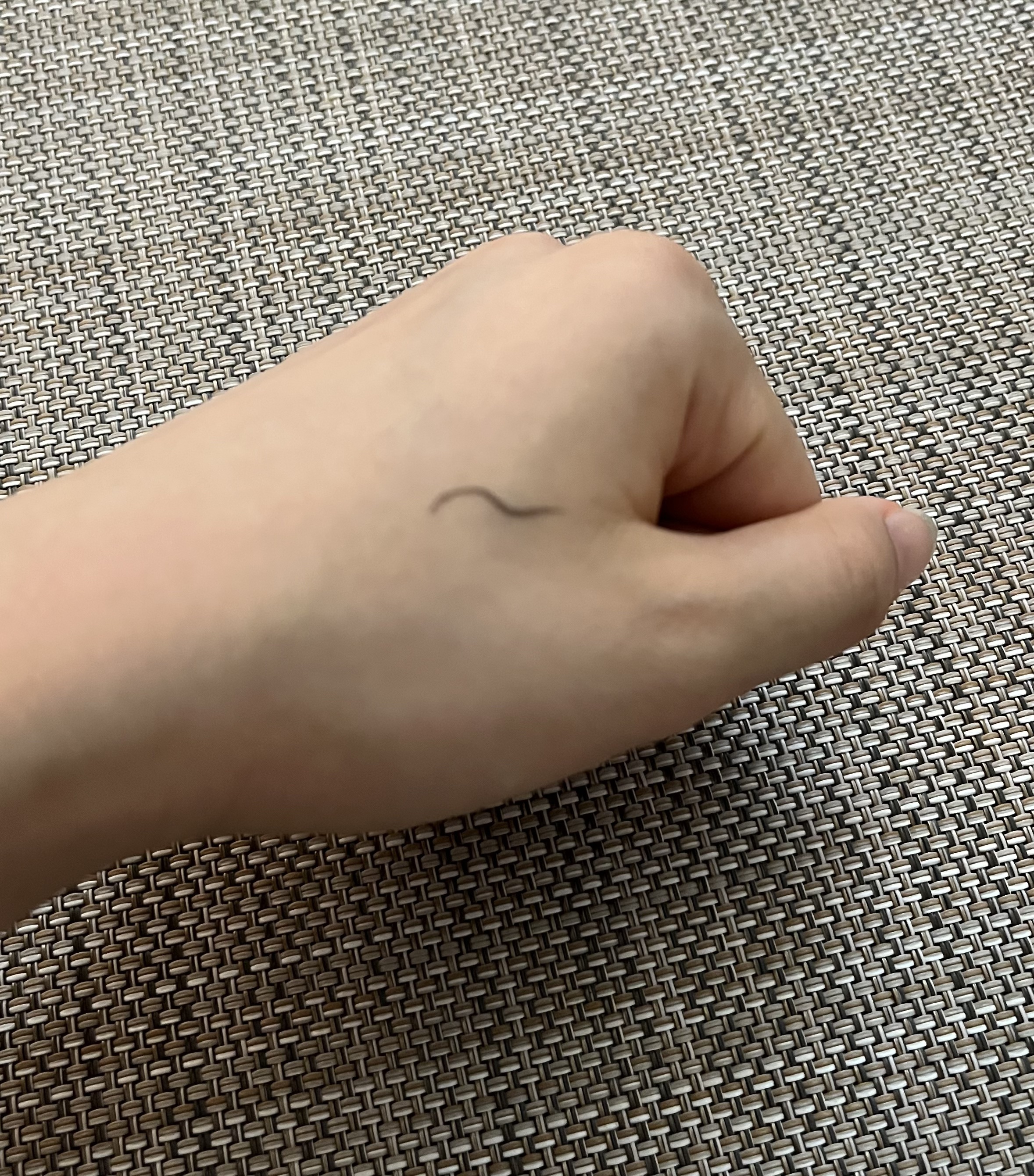 極細アイライナーEX/CEZANNE/リキッドアイライナーを使ったクチコミ（2枚目）