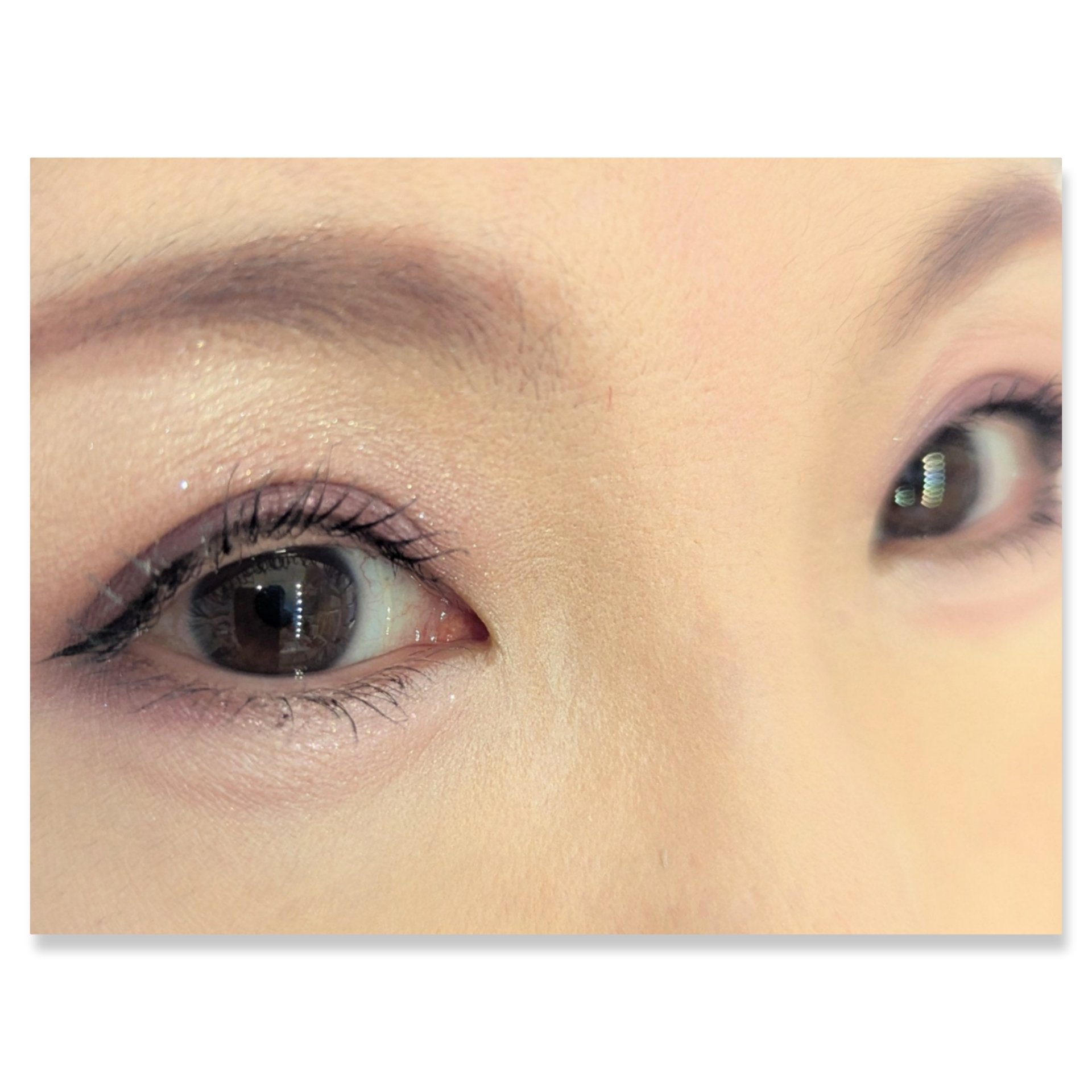 キスミー　フェルム　スタイリングアイパレット/キスミー フェルム/アイシャドウパレットを使ったクチコミ（2枚目）