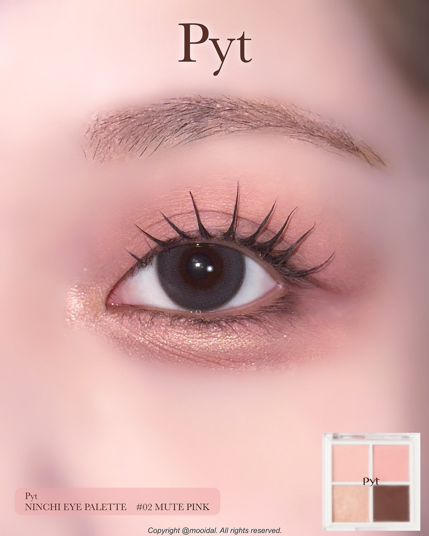 NINCHI EYEPALETTE/Pyt/アイシャドウパレットを使ったクチコミ(1枚目)