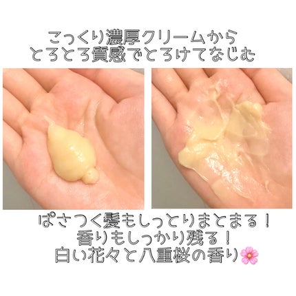 いち髪THE PREMIUMモイスチャーメロウヘアパック/いち髪/ヘアマスク・ヘアパックを使ったクチコミ(2枚目)