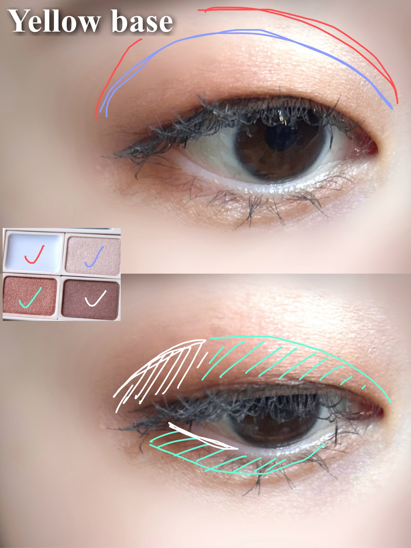 アヴァンセ アイフルールパレット/アヴァンセ/アイシャドウパレットを使ったクチコミ(6枚目)