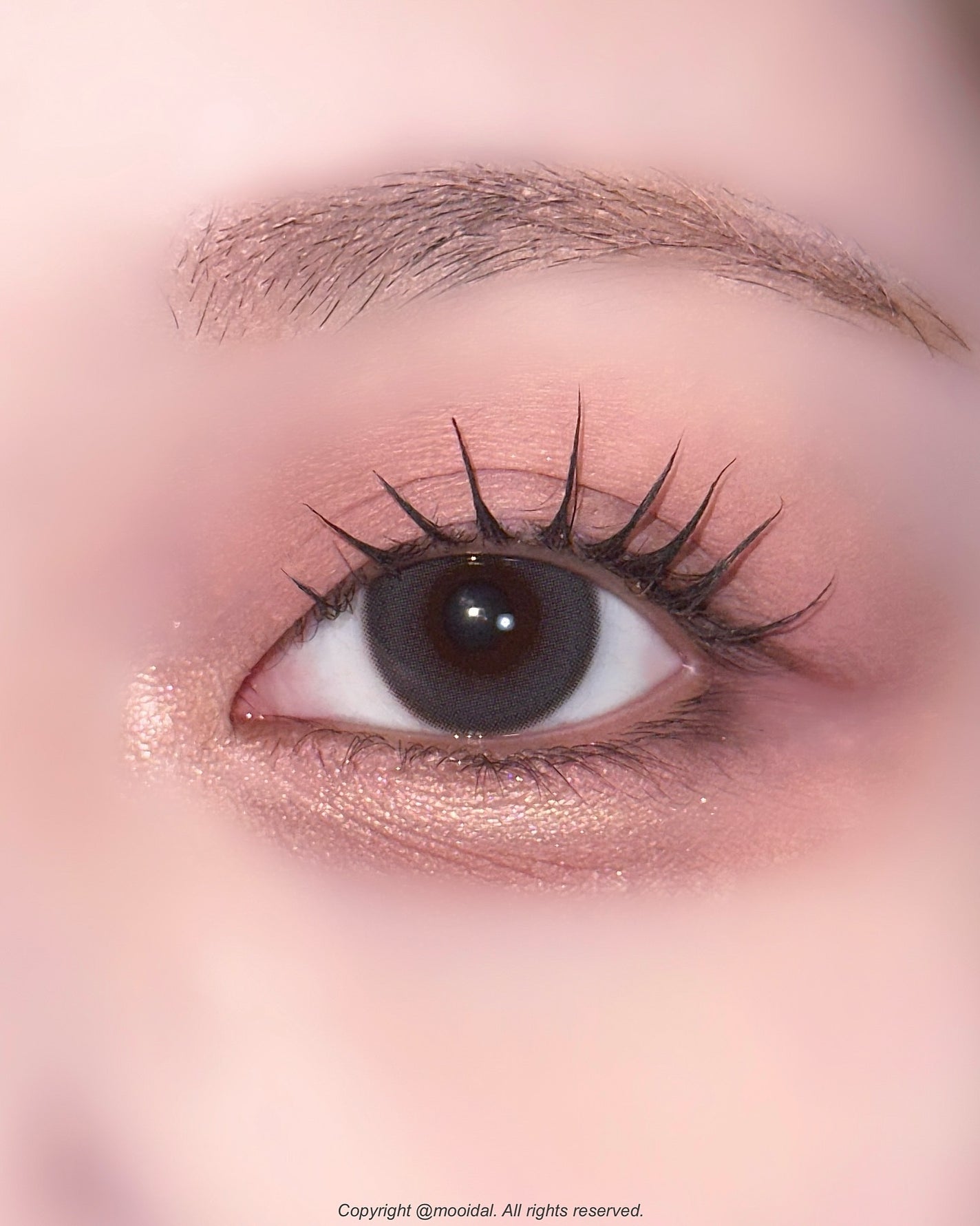 NINCHI EYEPALETTE/Pyt/アイシャドウパレットを使ったクチコミ(5枚目)