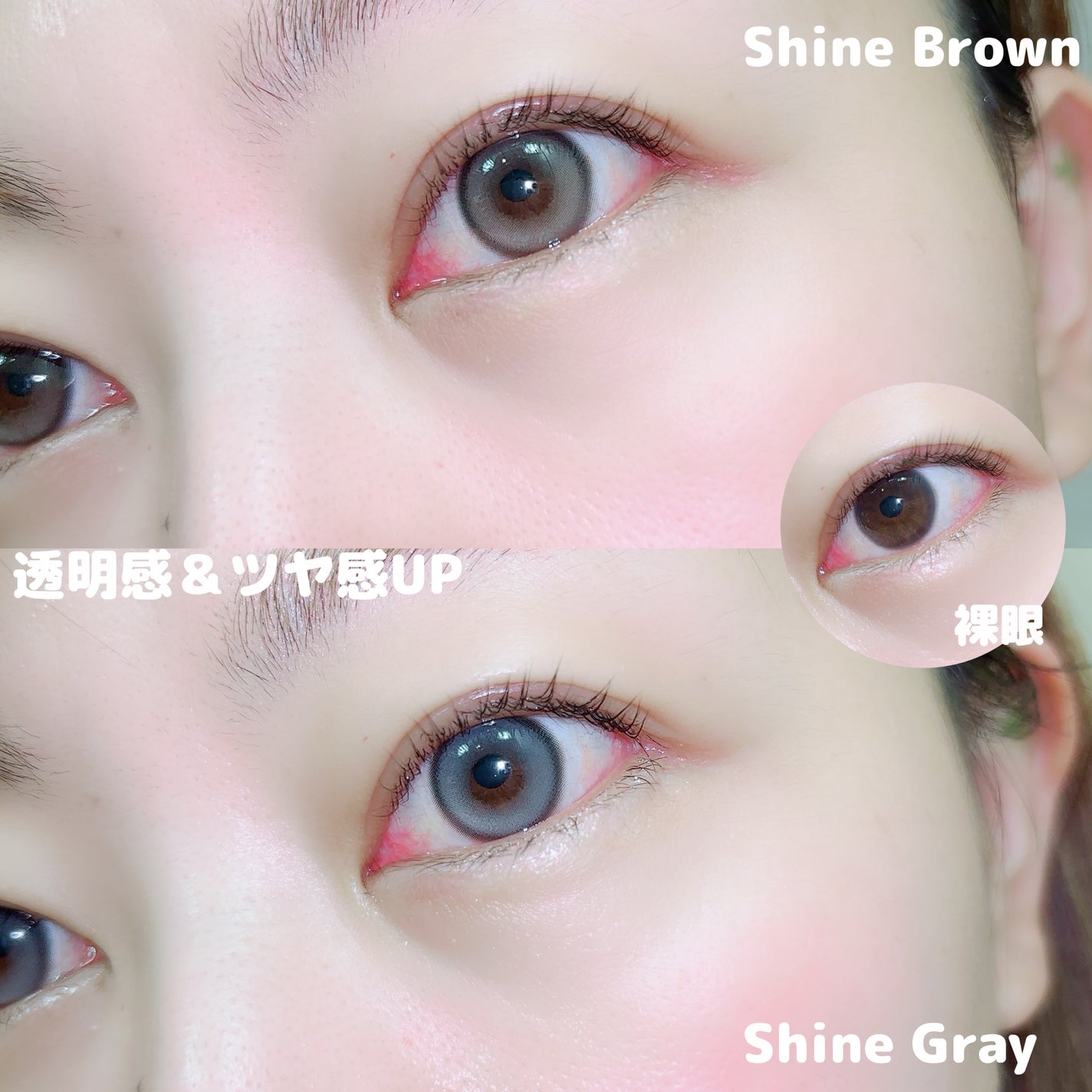 MUSE 1month/OLENS/1ヶ月(1MONTH)カラコンを使ったクチコミ(3枚目)