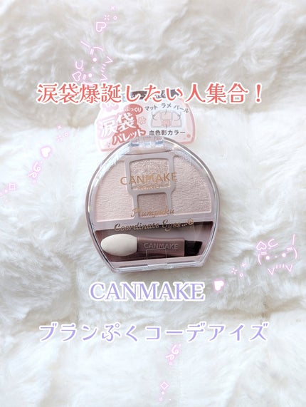 プランぷくコーデアイズ/キャンメイク/パウダーアイシャドウを使ったクチコミ(1枚目)