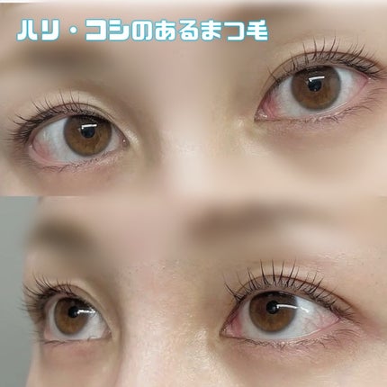 BONNY LASHES premium/FABIUS/まつげ美容液を使ったクチコミ(4枚目)