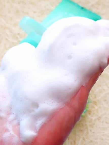 ティーツリーCクレンジングフォーム/BRING GREEN/洗顔フォームを使ったクチコミ(6枚目)