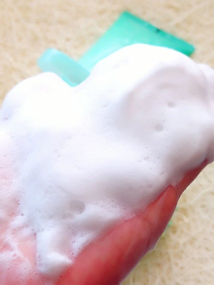 ティーツリーCクレンジングフォーム/BRING GREEN/洗顔フォームを使ったクチコミ(5枚目)