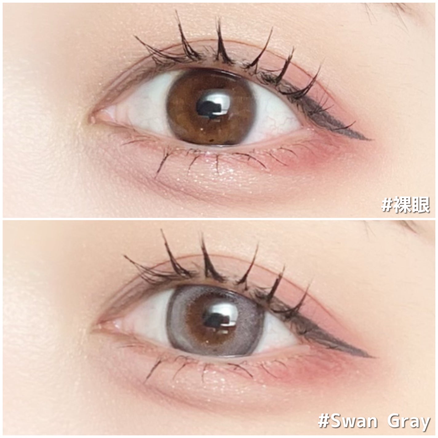 Angelcolor Bambi Series 1day /AngelColor/ワンデー(1DAY)カラコンを使ったクチコミ(4枚目)