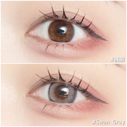 Angelcolor Bambi Series 1day /AngelColor/ワンデー(1DAY)カラコンを使ったクチコミ(4枚目)