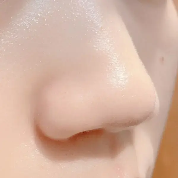 鼻の毛穴のアップ