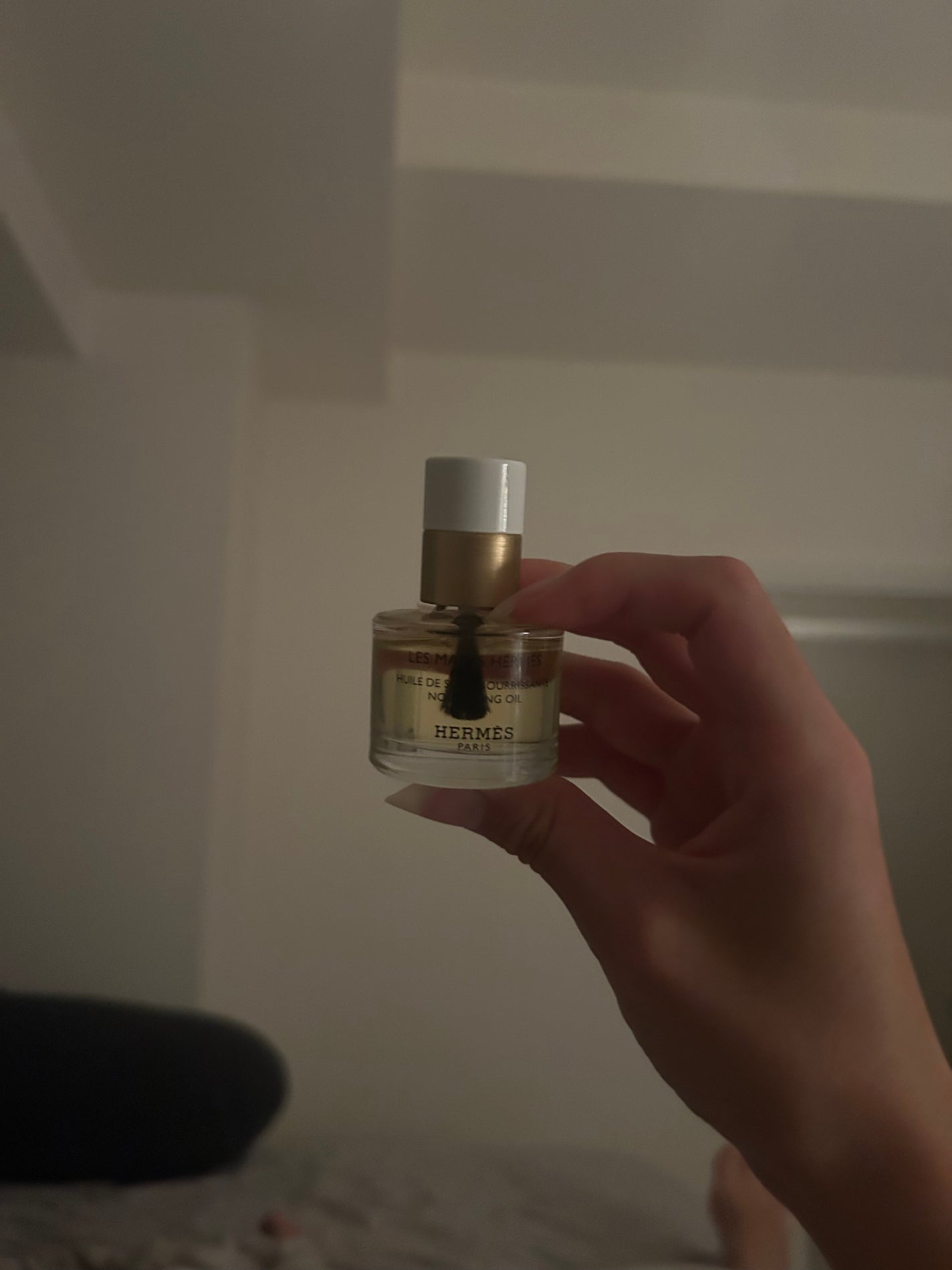 レ マン エルメス ユイル ドゥ ソワン/エルメス/ネイルオイル・トリートメントを使ったクチコミ(1枚目)