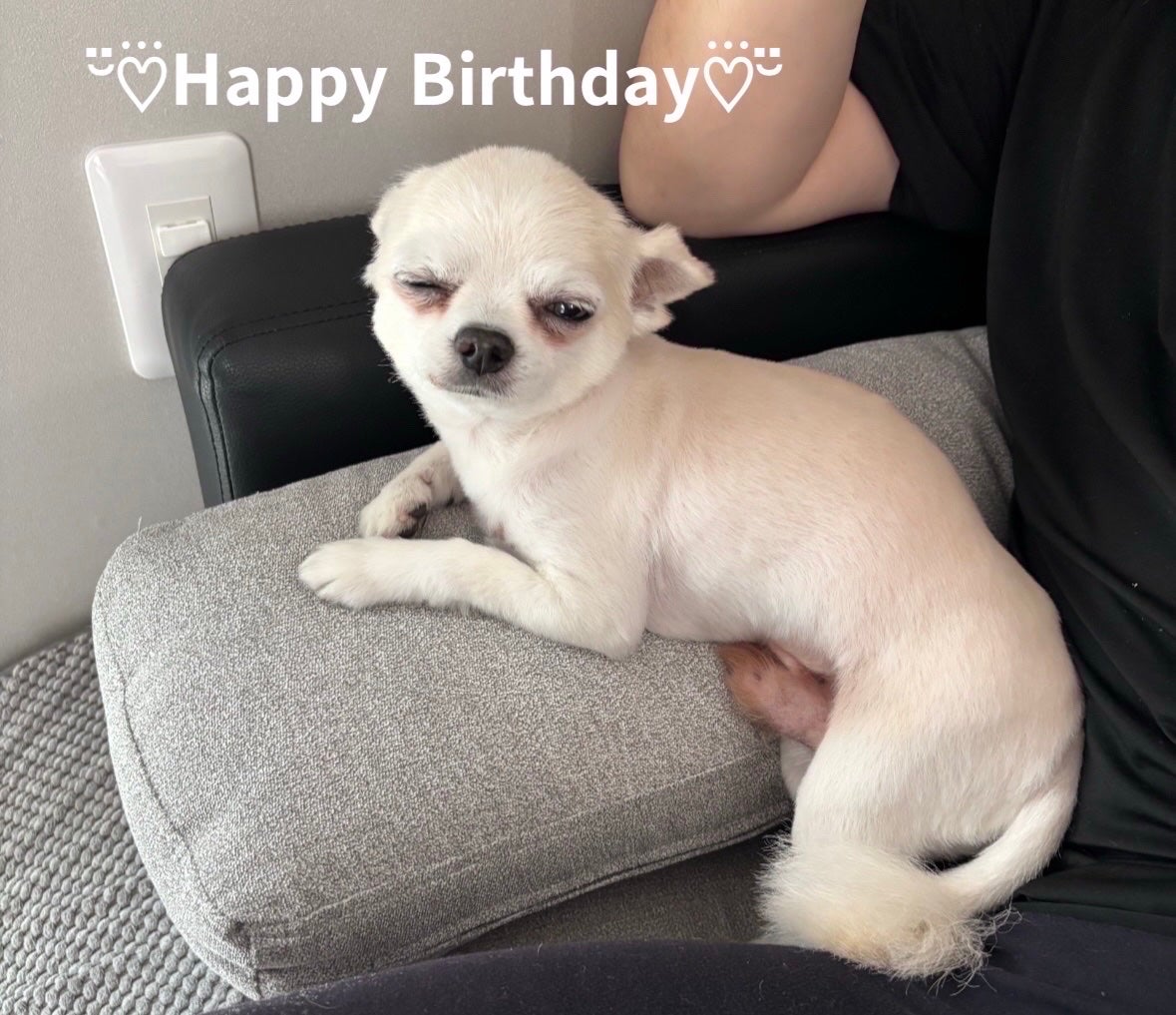 ミニネイル/パラドゥ/マニキュアを使ったクチコミ(7枚目)