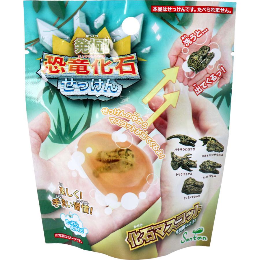 サンタン 発掘！恐竜化石せっけん