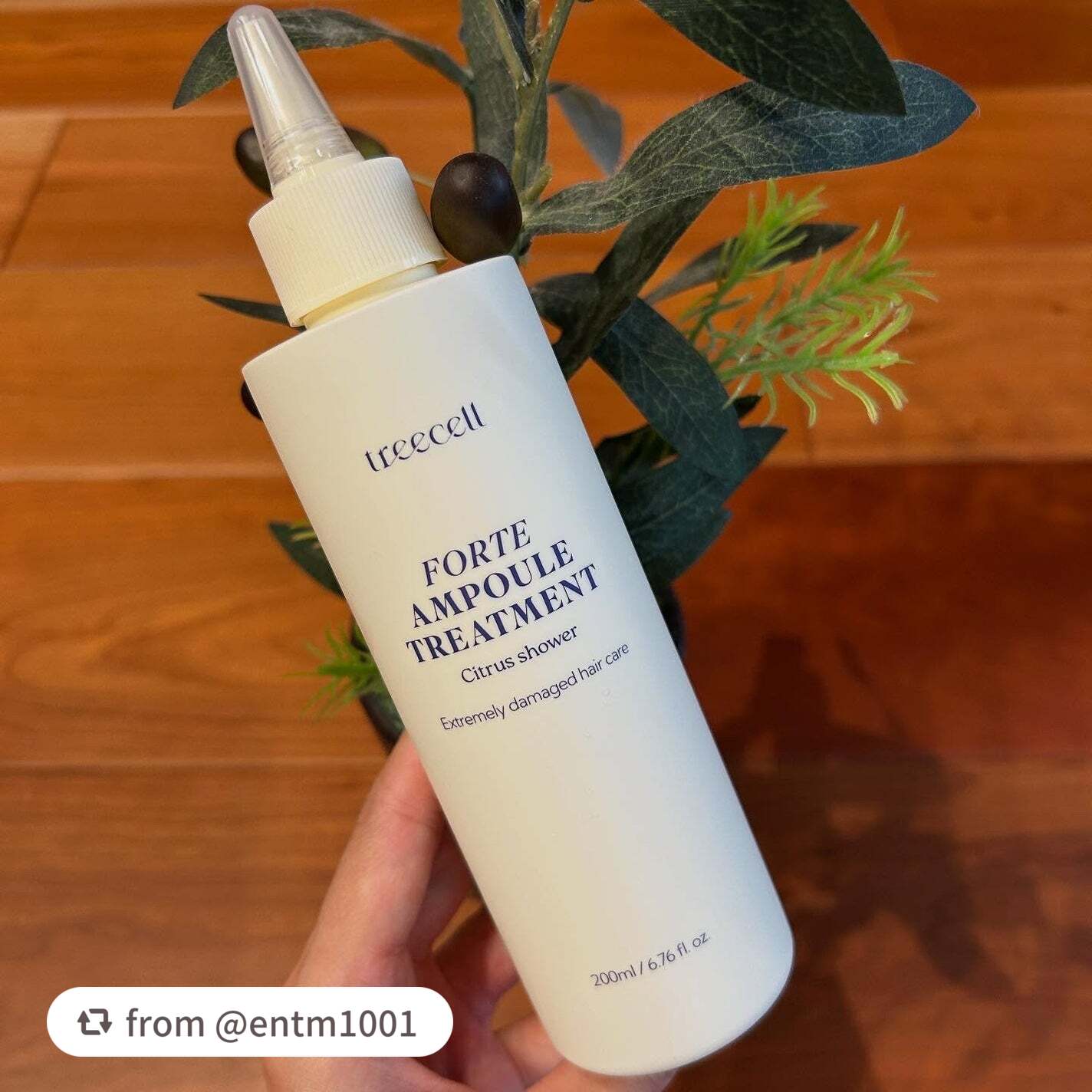 素敵なレビューありがとうございます🤍

【entm1001さんから引用】

“⭐︎
treecell
フォルテ アンプルトリートメント

LIPSのキャンペーンで当選し、お試しさせていただきました🌿

ハイダメージヘア向けのアンプルトリ